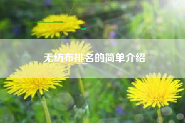 无纺布排名的简单介绍