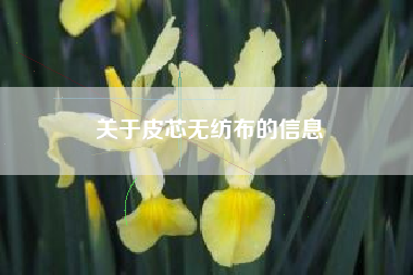 关于皮芯无纺布的信息