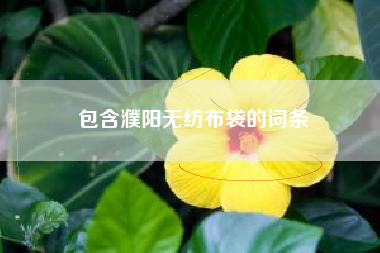 包含濮阳无纺布袋的词条 包含濮阳无纺布袋的词条