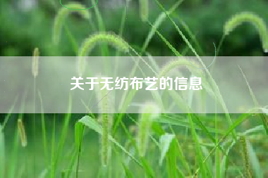 关于无纺布艺的信息
