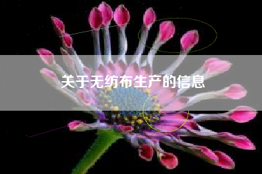 关于无纺布生产的信息
