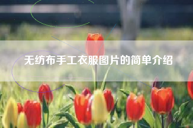 无纺布手工衣服图片的简单介绍