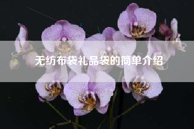 无纺布袋礼品袋的简单介绍