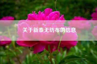 关于新泰无纺布的信息