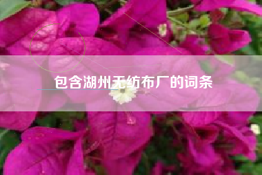 包含湖州无纺布厂的词条