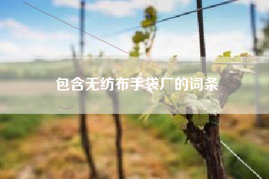 包含无纺布手袋厂的词条