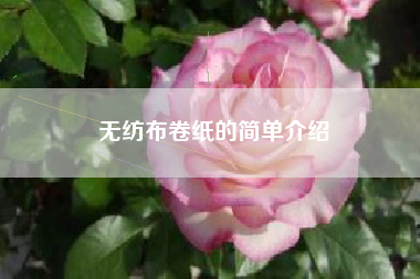 无纺布卷纸的简单介绍