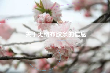 关于无纺布胶条的信息