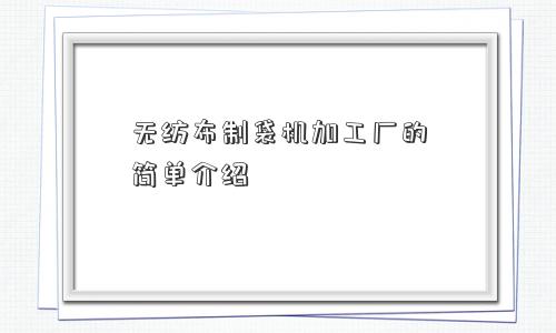 无纺布制袋机加工厂的简单介绍