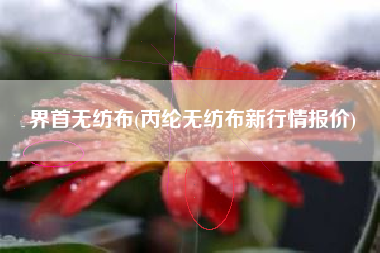 界首<a href='/' target='_blank' title='无纺布' ><strong>无纺布</strong></a>(丙纶无纺布新行情报价)