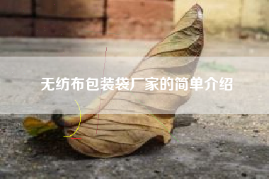 无纺布包装袋厂家的简单介绍
