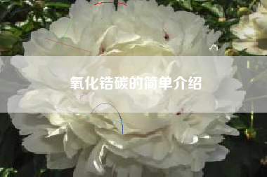 氧化锆碳的简单介绍