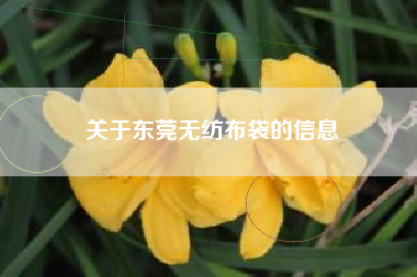 关于东莞无纺布袋的信息