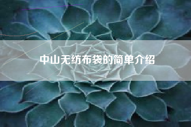 中山无纺布袋的简单介绍