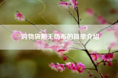 购物袋用无纺布的简单介绍
