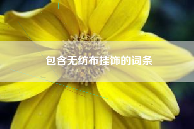 包含无纺布挂饰的词条