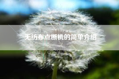 无纺布点断机的简单介绍