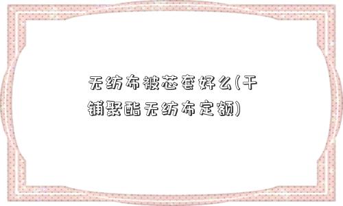 无纺布被芯套好么(干铺聚酯无纺布定额) 无纺布被芯套好么(干铺聚酯无纺布定额)