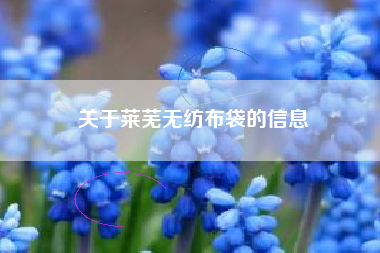 关于莱芜无纺布袋的信息 关于莱芜无纺布袋的信息