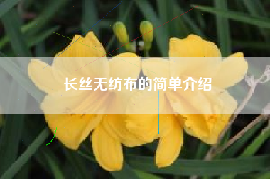 长丝无纺布的简单介绍