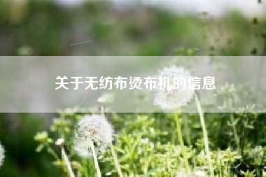 关于无纺布烫布机的信息