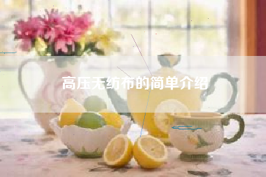 高压无纺布的简单介绍