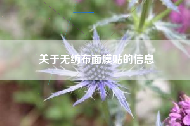 关于无纺布面膜贴的信息