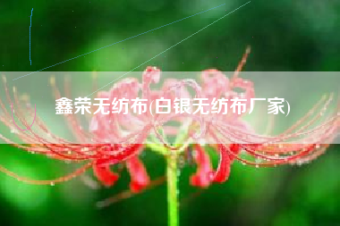 鑫荣<a href='/' target='_blank' title='无纺布' ><strong>无纺布</strong></a>(白银无纺布厂家)
