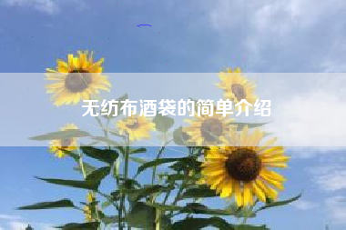 无纺布酒袋的简单介绍