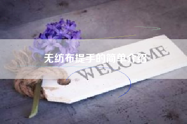 无纺布提手的简单介绍