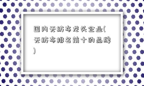 国内无纺布龙头企业(无纺布排名前十的品牌)