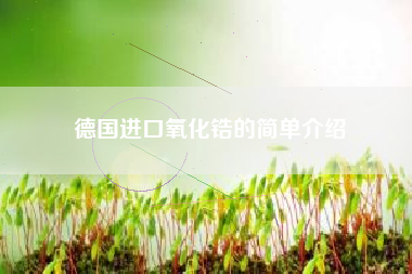 德国进口氧化锆的简单介绍