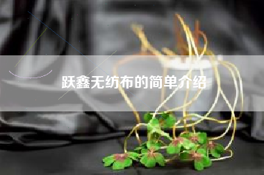 跃鑫无纺布的简单介绍