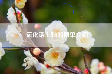 氧化锆上釉的简单介绍