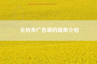 无纺布广告袋的简单介绍