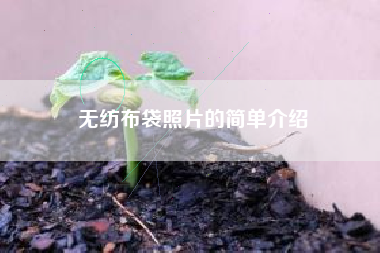 无纺布袋照片的简单介绍