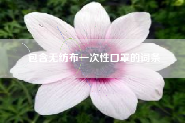 包含无纺布一次性口罩的词条