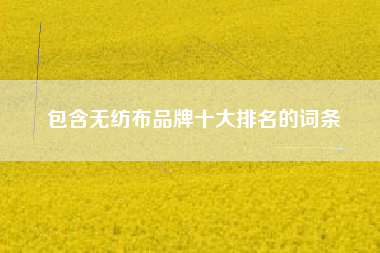 包含无纺布品牌十大排名的词条 包含无纺布品牌十大排名的词条