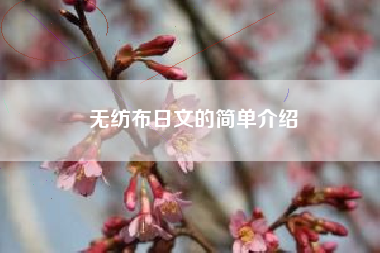 无纺布日文的简单介绍