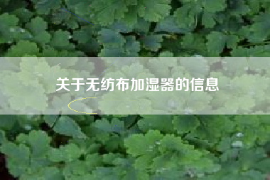 关于无纺布加湿器的信息