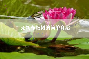 无纺布纸衬的简单介绍