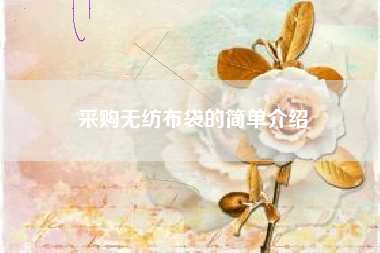 采购无纺布袋的简单介绍