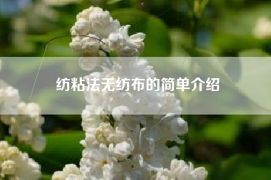 纺粘法无纺布的简单介绍 纺粘法无纺布的简单介绍