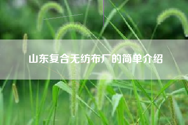 山东复合无纺布厂的简单介绍