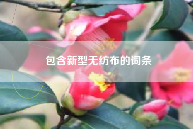 包含新型无纺布的词条