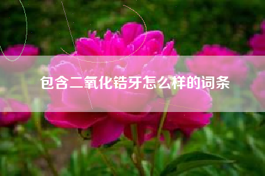 包含二氧化锆牙怎么样的词条