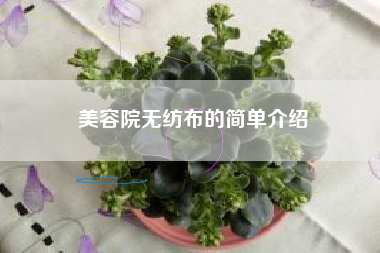 美容院无纺布的简单介绍