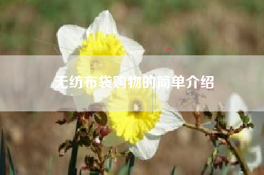 无纺布袋购物的简单介绍
