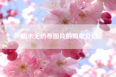 防水无纺布图片的简单介绍