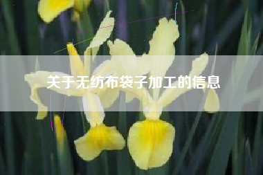 关于无纺布袋子加工的信息